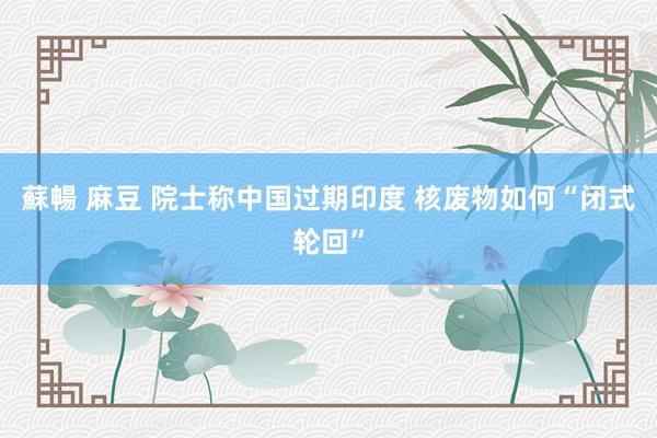 蘇暢 麻豆 院士称中国过期印度 核废物如何“闭式轮回”