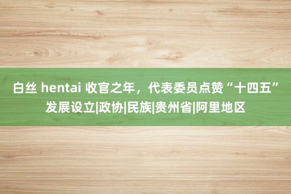 白丝 hentai 收官之年，代表委员点赞“十四五”发展设立|政协|民族|贵州省|阿里地区