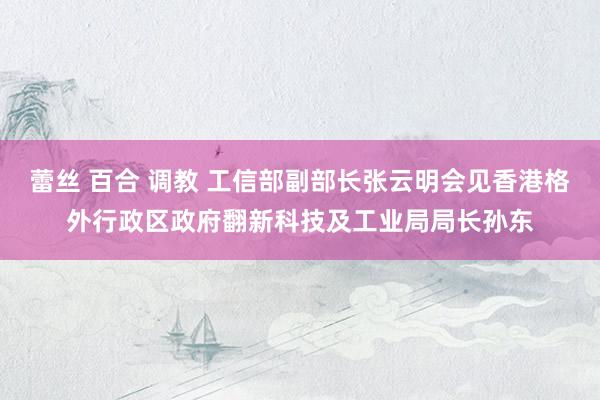 蕾丝 百合 调教 工信部副部长张云明会见香港格外行政区政府翻新科技及工业局局长孙东