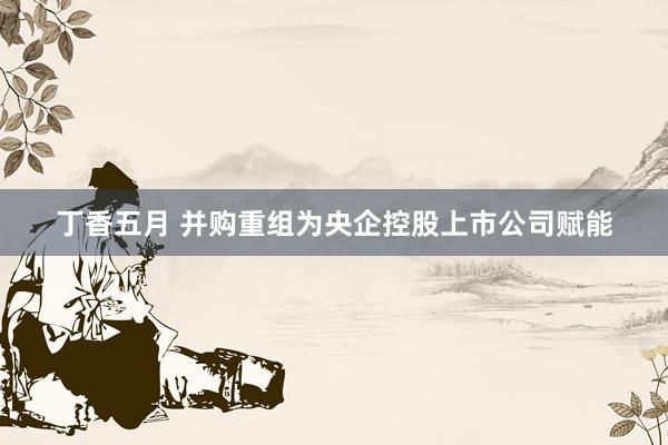 丁香五月 并购重组为央企控股上市公司赋能