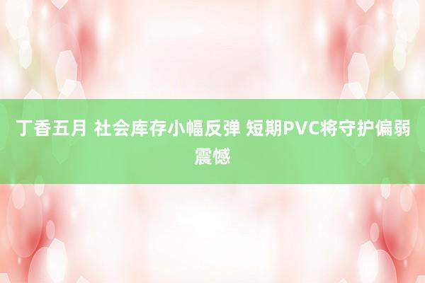 丁香五月 社会库存小幅反弹 短期PVC将守护偏弱震憾