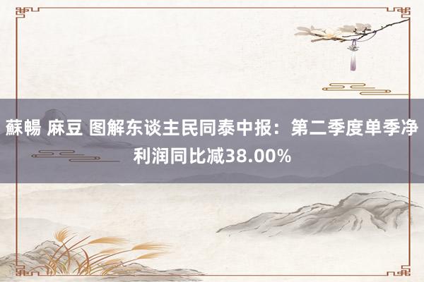 蘇暢 麻豆 图解东谈主民同泰中报：第二季度单季净利润同比减38.00%