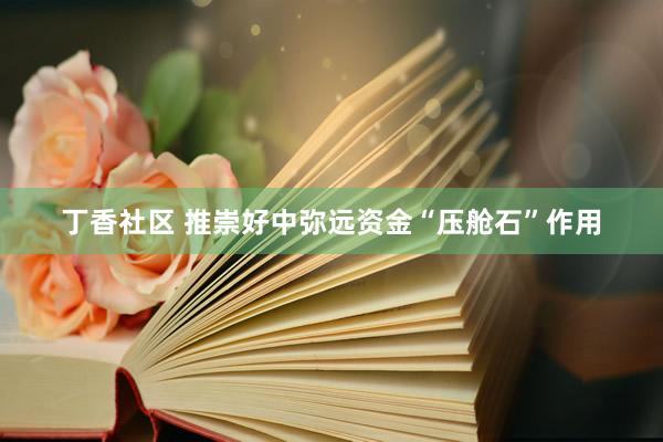 丁香社区 推崇好中弥远资金“压舱石”作用