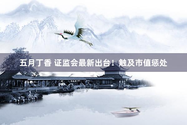 五月丁香 证监会最新出台！触及市值惩处