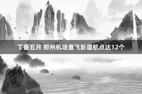 丁香五月 郑州机场直飞新疆航点达12个